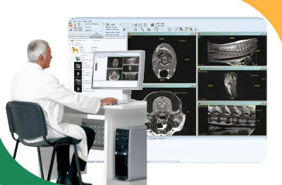 Lekarz weterynarii oceniający obrazy RM zwierząt