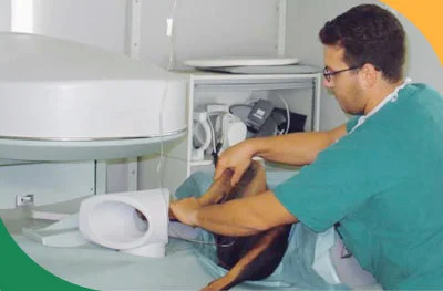 Aparat do badań MRI zwierząt Esaote