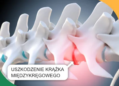 Uraz kręgosłupa u psa