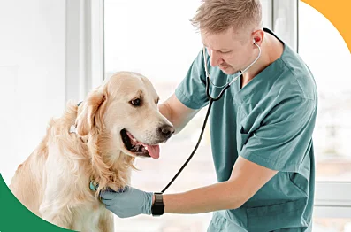 Dla lekarza kierującego