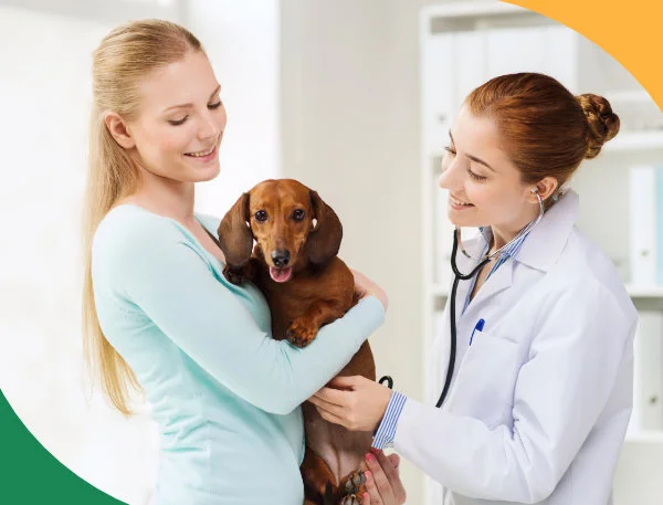 Zadowolony pies, właściciel i weterynarz