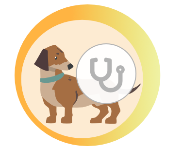 Pies przed badaniem nerologicznym wymaganym do RM