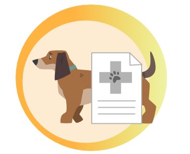 Pies z wynikiem badania RM